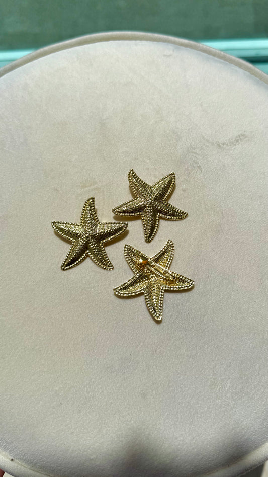 Pin de estrella